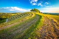 Agricultural terraces on Maderkin Breg hill view