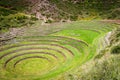 Agricultural terraces in Moray, Cusco, Peru