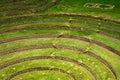 Agricultural terraces in Moray, Cusco, Peru