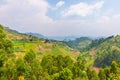 Agricultural terraces near Lake Mutanda in Uganda.