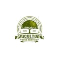 Agricultural tree vintage logo badge Royalty Free Stock Photo