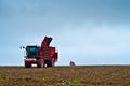 Agricultural vehicle harvesting sugar beet