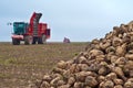 Agricultural vehicle harvesting sugar beet