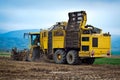 Agricultural vehicle harvesting sugar beet