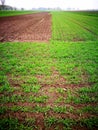 Agricultural view. Artistic look in vintage vivid colours. Royalty Free Stock Photo