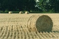 Agricultural vintage landscape with haystacks