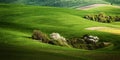 Agricultural vintage landscape