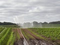 Agricultural water Cannons being used in the dry conditions experienced by Scottish Farmers.