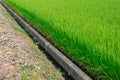Agricultural waterway in a rice field Royalty Free Stock Photo