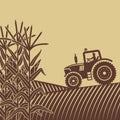 Agricultural work in corn field illustration