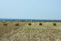 Agricultural work for haymaking Royalty Free Stock Photo