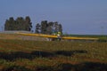 Agricultural work in a strawberry field near the town of Pardes Hana Israel. Royalty Free Stock Photo