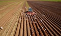 Agricultural work on a tractor farmer sows grain. Hungry birds a