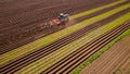 Agricultural work on a tractor farmer sows grain. Hungry birds a Royalty Free Stock Photo