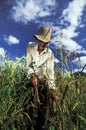 Agricultural worker, Brazil. Royalty Free Stock Photo