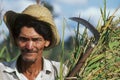 Agricultural worker, Brazil. Royalty Free Stock Photo