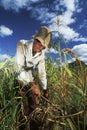 Agricultural worker, Brazil. Royalty Free Stock Photo