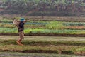 Agricultural worker terraced field Vietnam