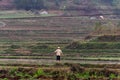 Agricultural worker terraced field Vietnam