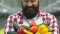 Agriculturalist smiling camera holding fresh vegetables in hands, harvesting