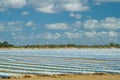 Crops covered with plastic film