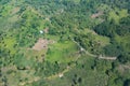 Agriculture aerial in the jungle of Dominica