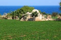 Agriculture along the Adriatic coast, Italy