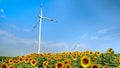 Agriculture and alternative energy. Wind turbines operating on sunflower field on a sunny day Royalty Free Stock Photo