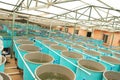 Agriculture aquaculture farm