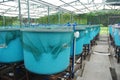 Agriculture aquaculture farm