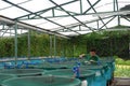 Agriculture aquaculture farm