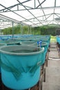 Agriculture aquaculture farm