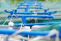 Agriculture aquaculture farm Royalty Free Stock Photo