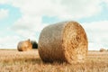 Agriculture background with copy space. Harvested field with straw bales. Summer and autumn harvest concept Royalty Free Stock Photo