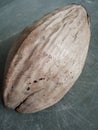 Image of coconut fruit in india Royalty Free Stock Photo