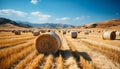 Agriculture beauty in nature rolled up hay bales in meadow generated by AI Royalty Free Stock Photo