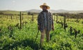 Agriculture, cane and black man on farm for farming, harvest or growth in countryside mockup. Walking stick, field and Royalty Free Stock Photo