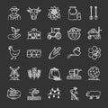 Agriculture chalk icons set