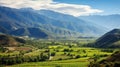 agriculture chilean vineyard valleys