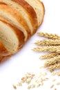 Agriculture concept. Bread and ears of wheat Royalty Free Stock Photo