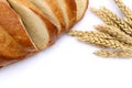 Agriculture concept. Bread and ears of wheat Royalty Free Stock Photo