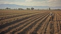 agriculture corn planting