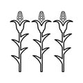 Agriculture, cornfield, crop icon. Line, outline design