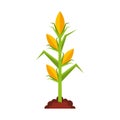 agriculture cultive isolated icon