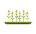 agriculture cultive isolated icon