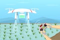 Agriculture Drone fly on paddy by remote control