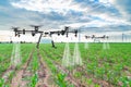 Agriculture drone fly to sprayed fertilizer on the corn fields Royalty Free Stock Photo