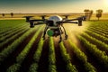 Agriculture drone fly to sprayed fertilizer on fields garden farm Royalty Free Stock Photo