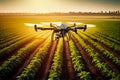 Agriculture drone fly to sprayed fertilizer on fields garden farm Royalty Free Stock Photo