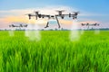 Agriculture drone fly to sprayed fertilizer on the rice fields